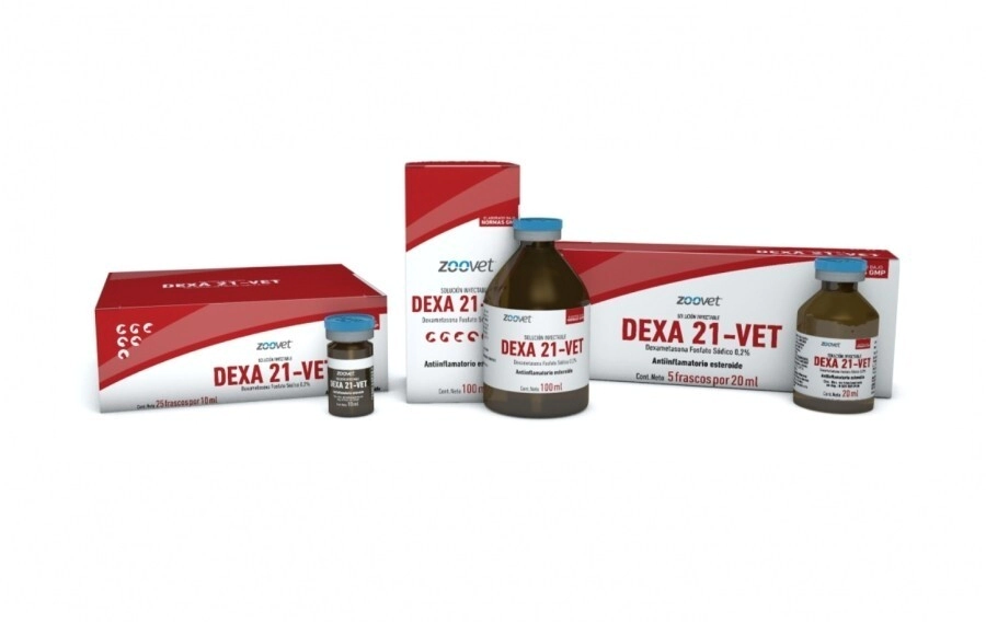 DEXA 21 VET x 100ml