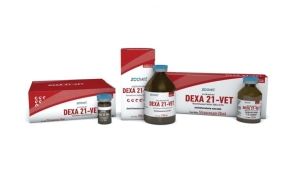 DEXA 21 VET x 100ml