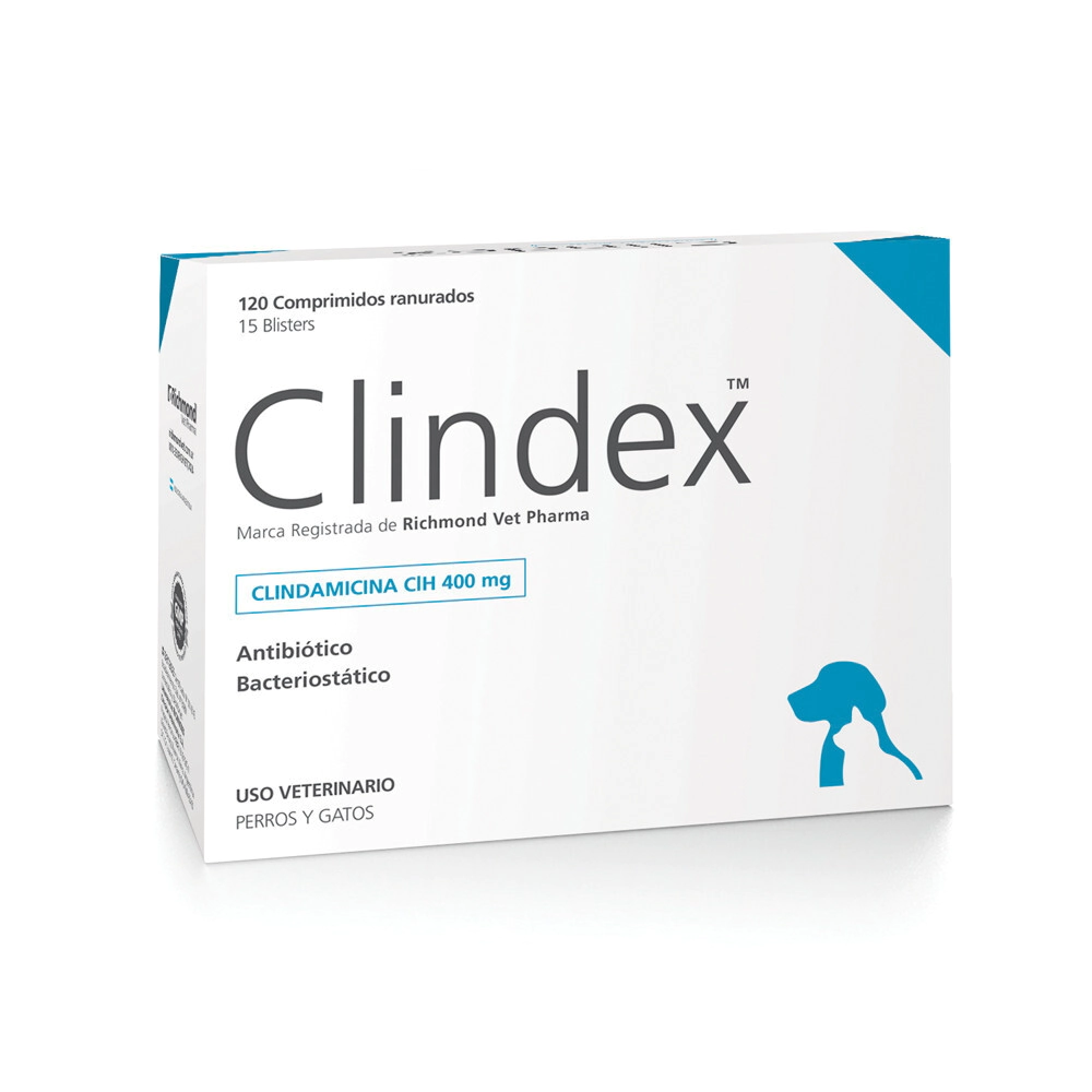 CLINDEX 400 MG RICHMOND