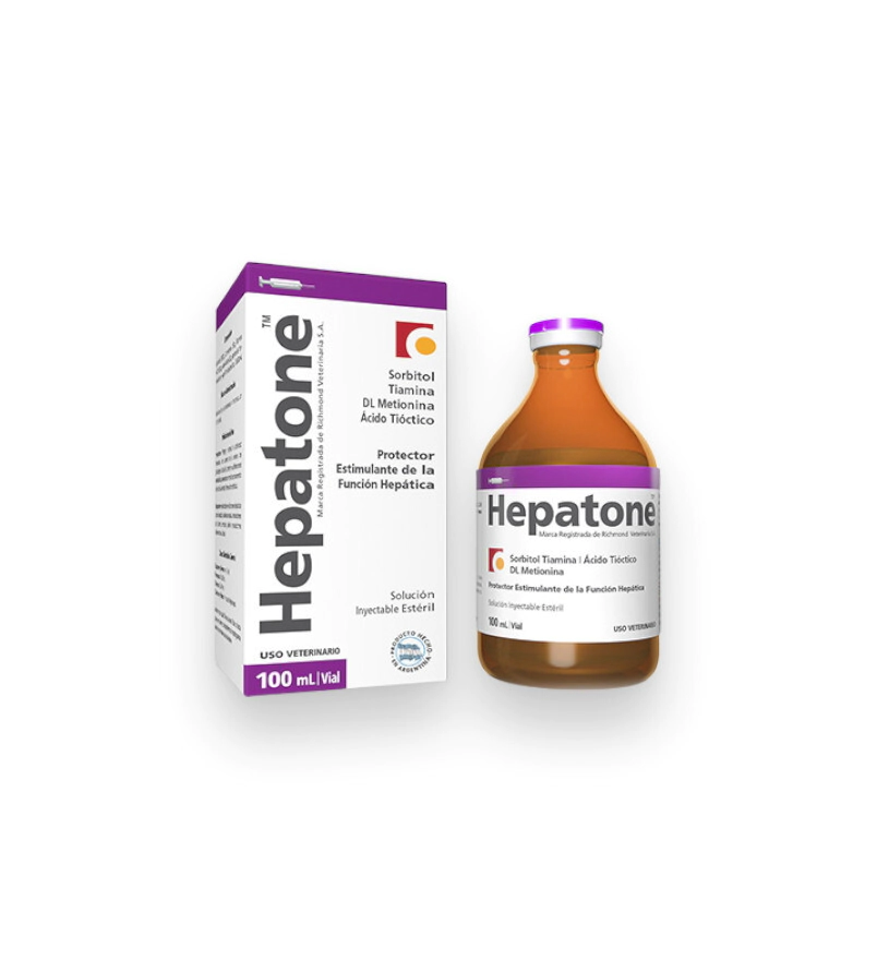 HEPATONE 100 ML