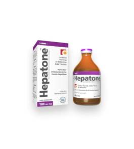 HEPATONE 100 ML