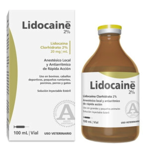 LIDOCAINE X 100 ML RICHMOND