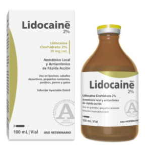 LIDOCAINE X 100 ML RICHMOND