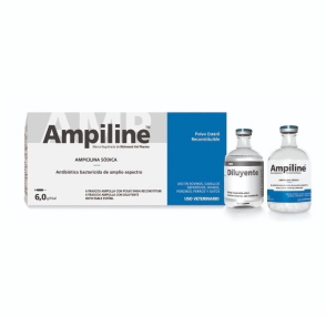 AMPILINE LARGE 6 UN (6 MILLONES)