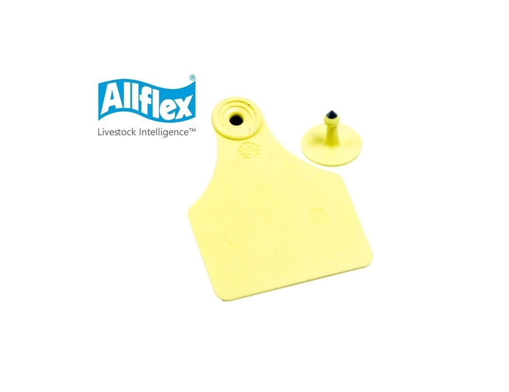 ALLFLEX MAXI LISA S/N�