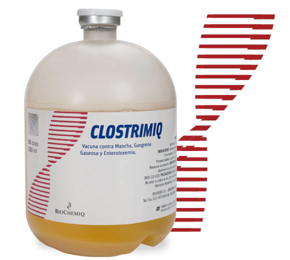 CLOSTRIMIQ PH X 25 DS