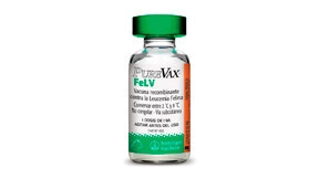 PUREVAX Fel V X 10 DS