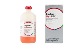 INGELVAC MYCOFLEX  HSB x 50 ML ( 50 DS )