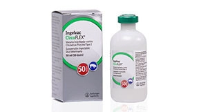 INGELVAC CIRCOFLEX x 50 ML (50 DS)