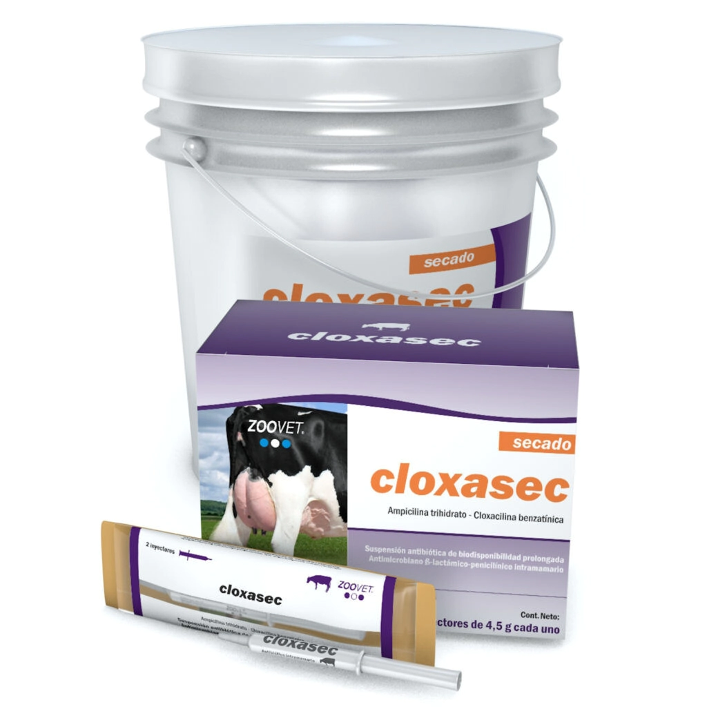 CLOXASEC X 36 JERINGAS