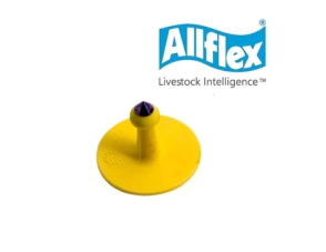ALLFLEX MACHO P/ CARAVANA 