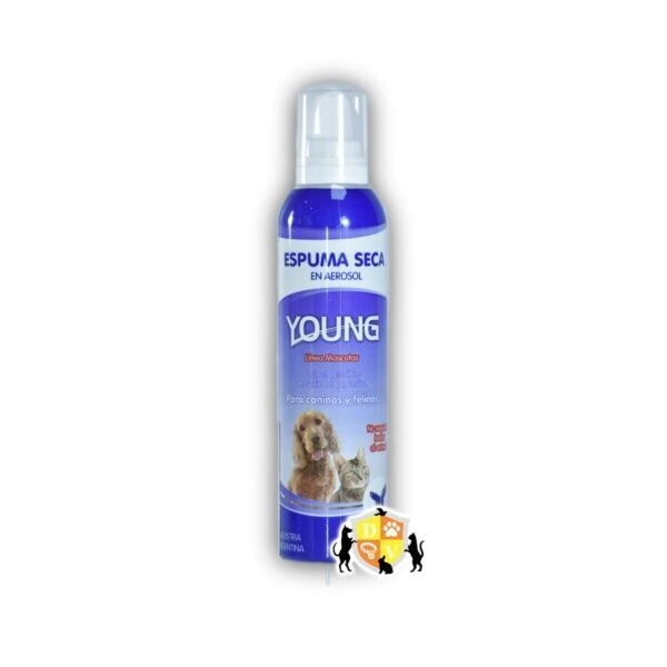 ESPUMA SECA DE LIMPIEZA AEROSOL (YOUNG)