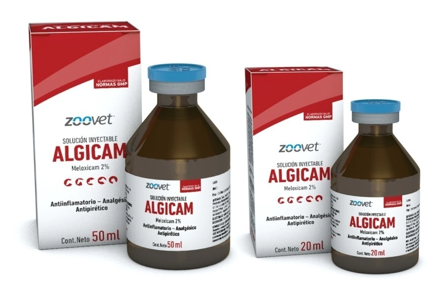 ALGICAM 50 ML
