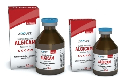 ALGICAM 50 ML
