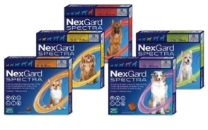 NEXGARD SPECTRA GG 30,1 a 60 KG