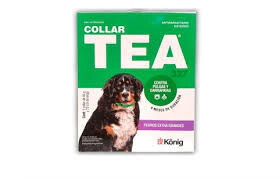 TEA COLLAR EXTRA GRANDE