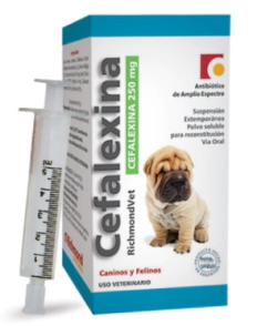 CEFALEXINA SUSPENSI&Oacute;N X 250 MG 