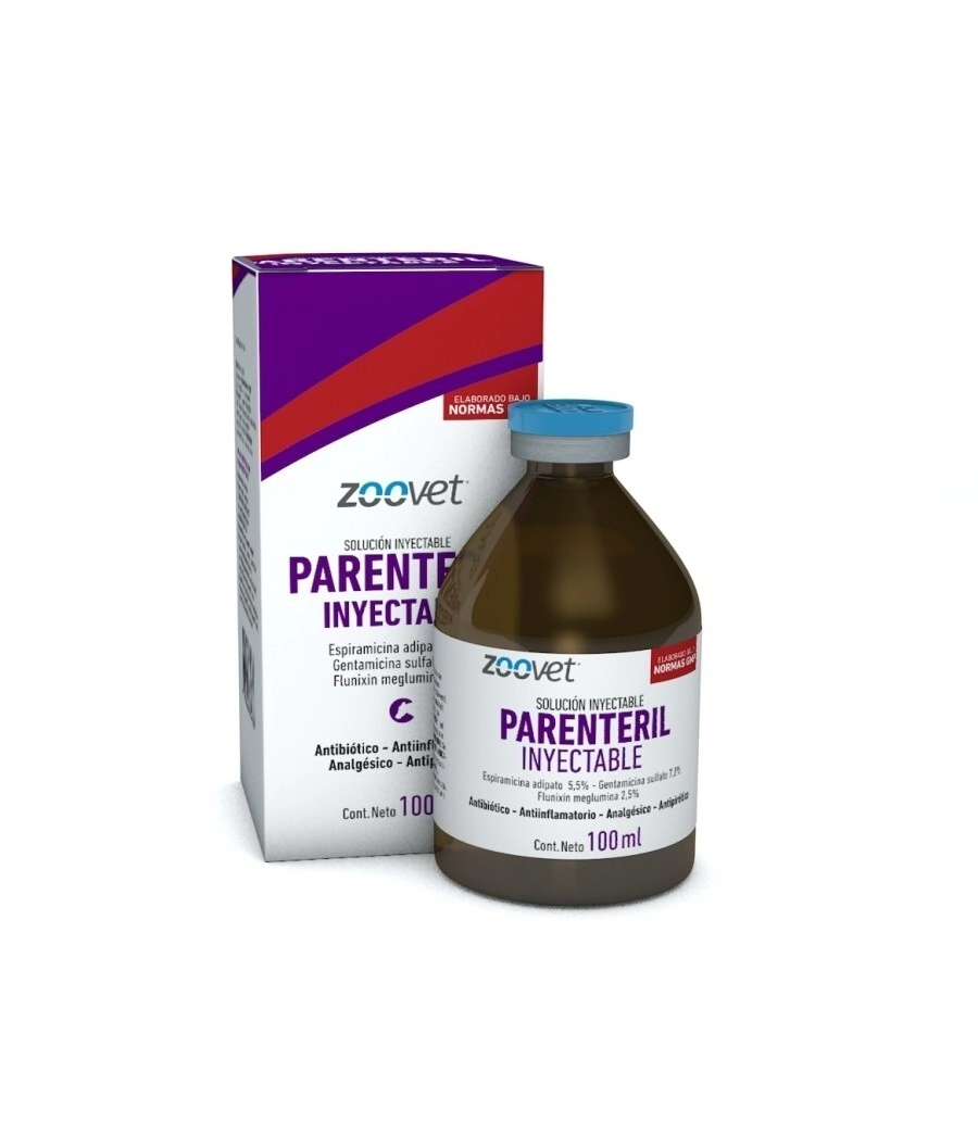 PARENTERIL INYECTABLE 100 ML