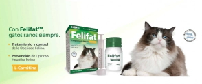 FELI FAT X 30 ML