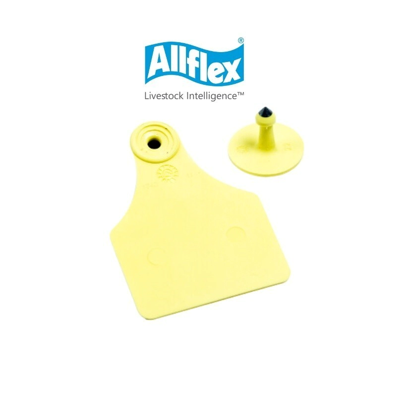 ALLFLEX GRANDES LISA S/N�