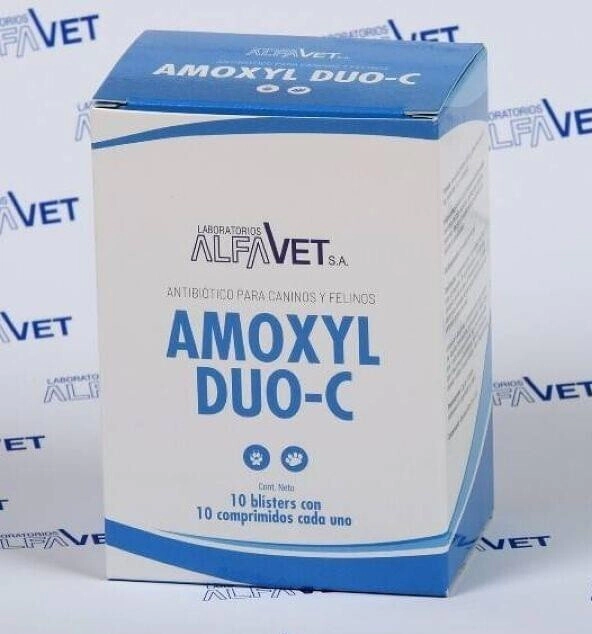 AMOXYL DUO-C