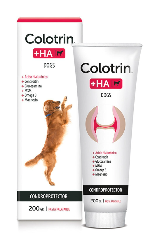 COLOTRIN + HA DOG POMO X 80 GRS