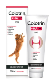 COLOTRIN + HA DOG POMO X 80 GRS