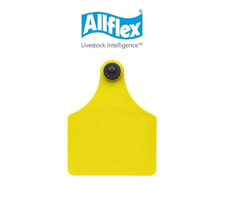ALLFLEX GRANDE ESPECIAL