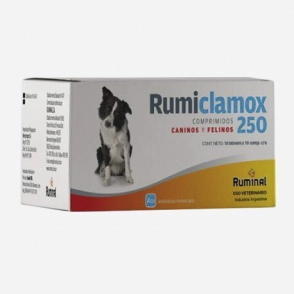 RUMICLAMOX 250 MG X 100 COMP