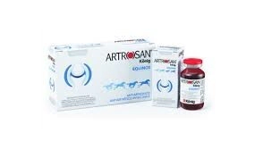 ARTROSAN INYECTABLE EQUINO IM X 6ML