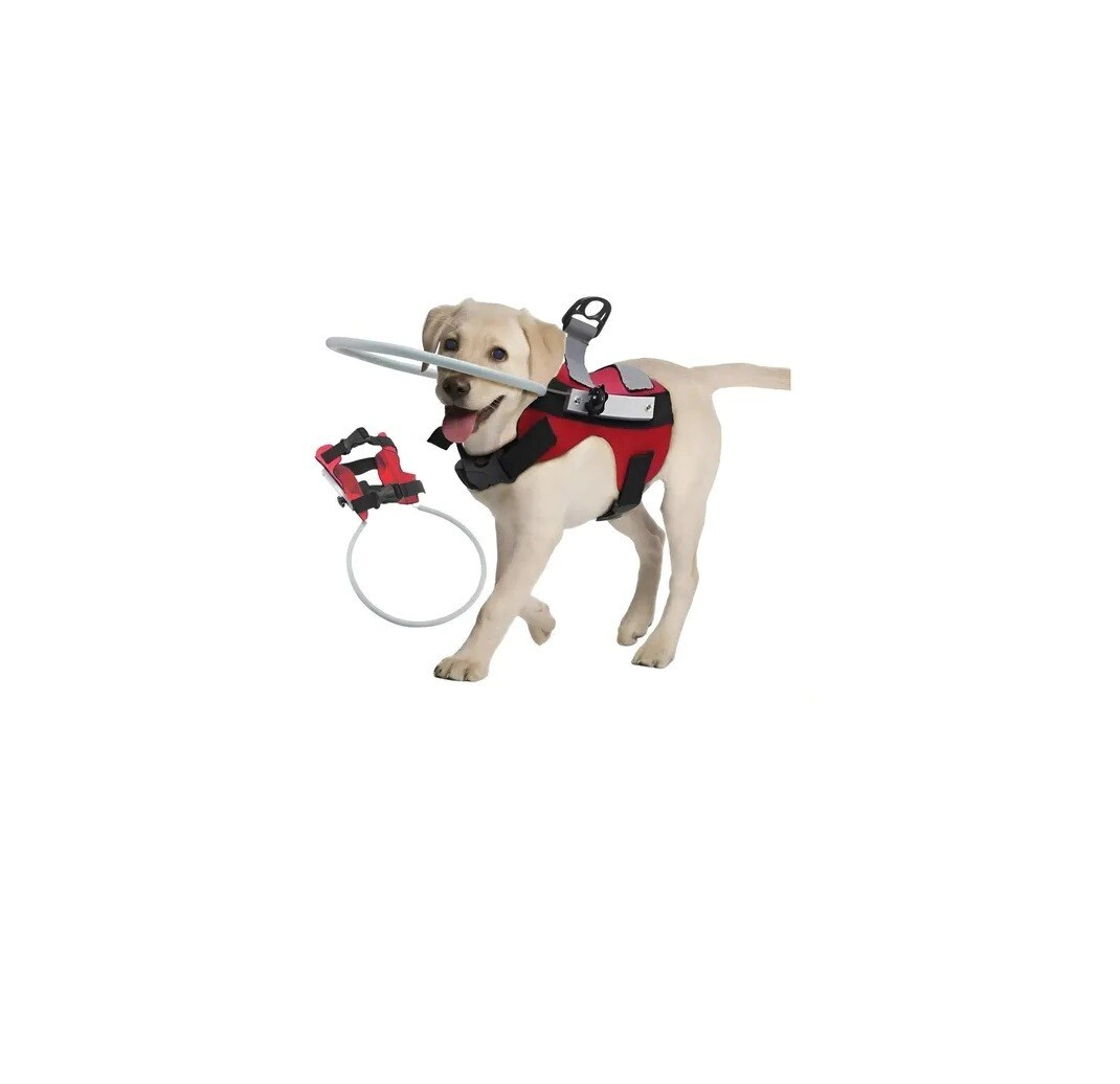 ARNES DE PROTECCION DISM VISUAL MEDIANO