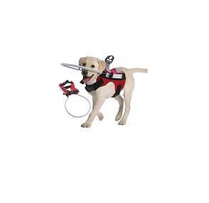 ARNES DE PROTECCION DISM VISUAL MEDIANO