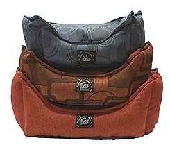 MOISES ATENAS CHICO