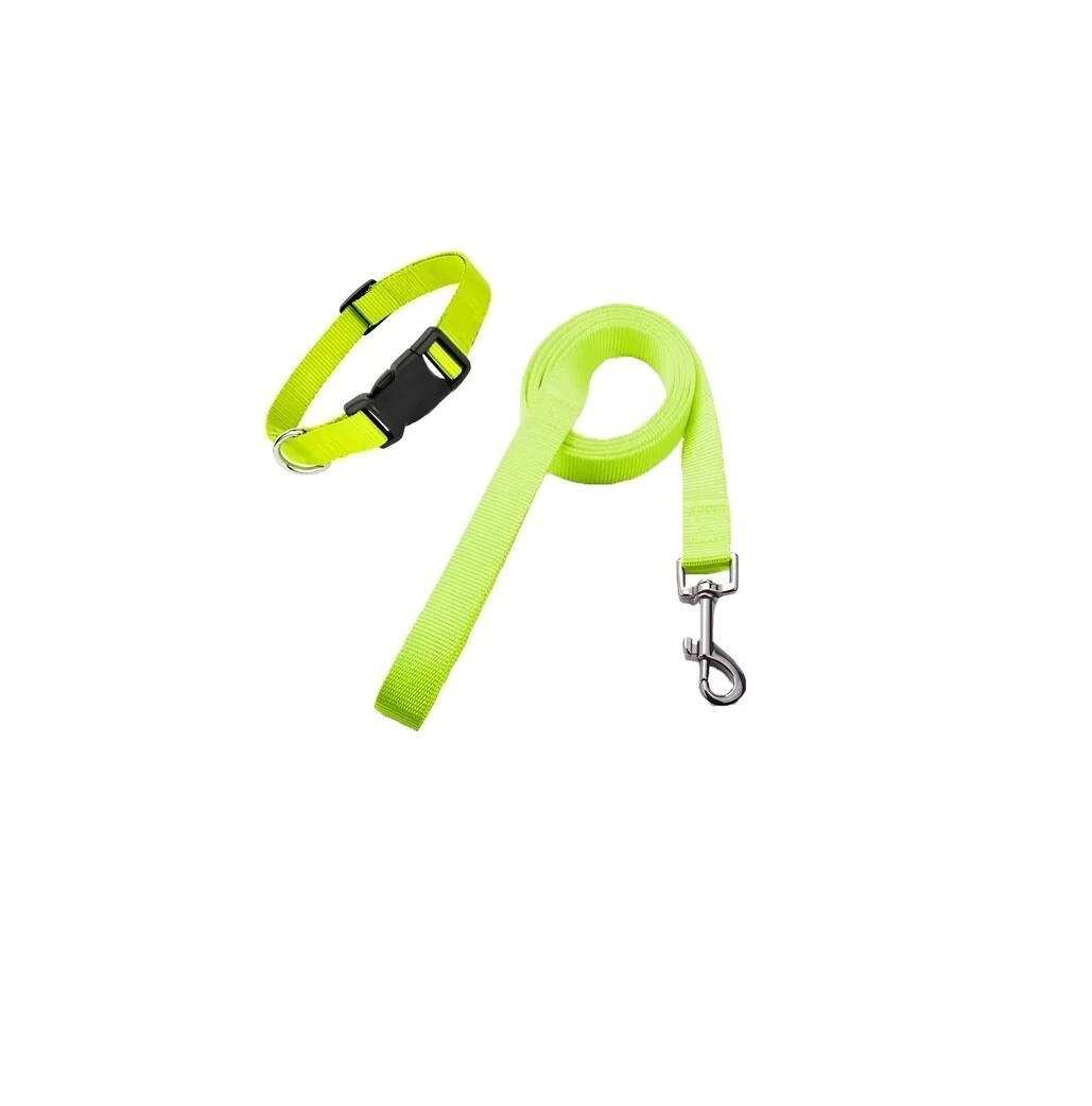 CONJUNTO COLLAR REGULABLE Y CORREA FLUO N1