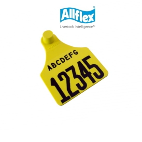 ALLFLEX GRANDE LASER INK