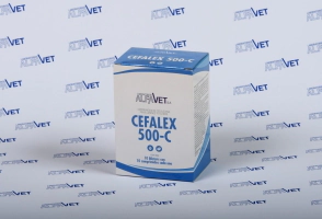 CEFALEX 500 C