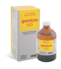GEMICIN 100 x 100 ML