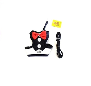 SET ARNES C/ CORREA MO&Ntilde;O BOTONES TALLE