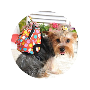 MOCHILA C/CORREA PARA PERROS T M