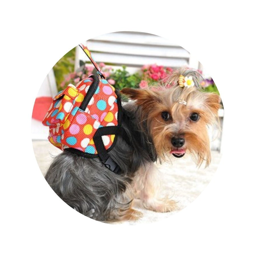 MOCHILA C/CORREA PARA PERROS T L