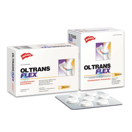 OL-TRANS FLEX  x  21 COMP