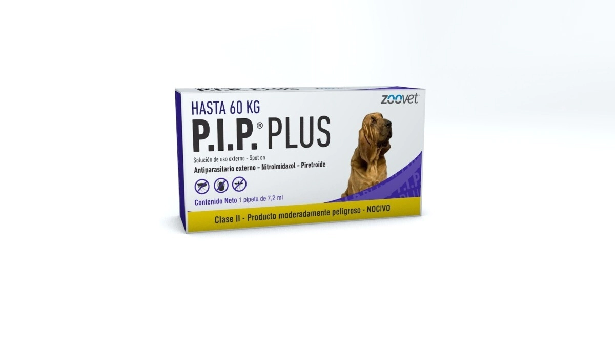 P.I.P .PLUS 60KG
