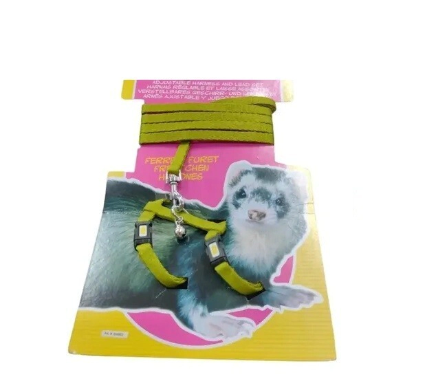LW HAMSTER ARNES + CORREA HURONES COLOR VERDE