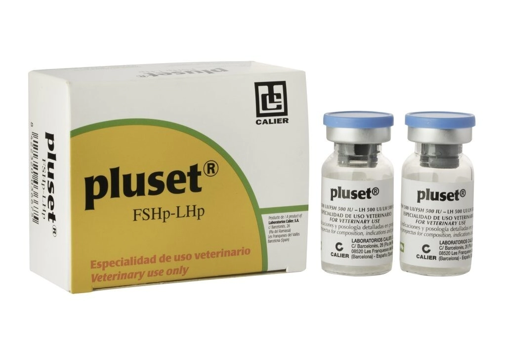 PLUSET 1000 UI