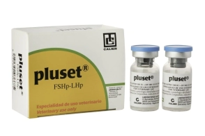 PLUSET 1000 UI