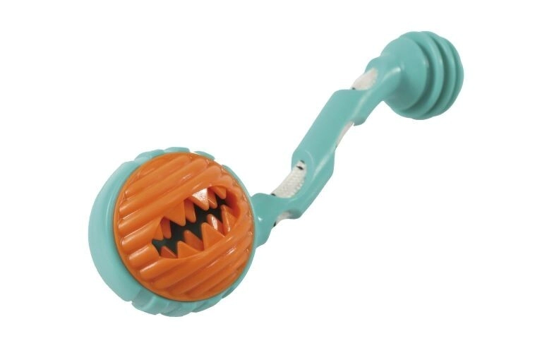 FLYER DOG TOY DUNMBBEL