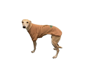 BUZO GALGO TALLE