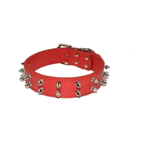 KIT COLLARES CON SUELA CON PUAS