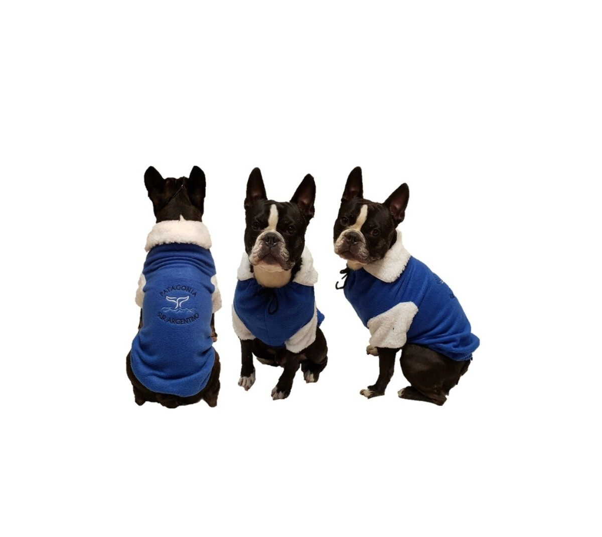 BUZO REGIONAL TALLE 05 (45) C/CORDERITO