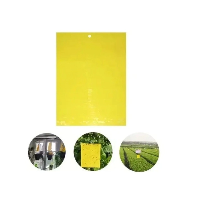 PLACAS JUMBO CROMATICAS P/MOSCAS
